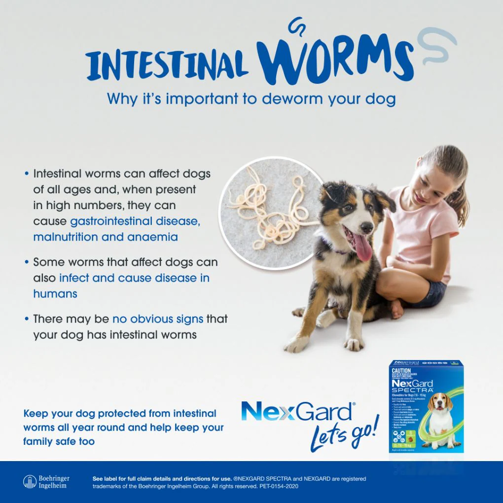 Nexgard Spectra Chews for Dog 30.1-60kg Red - Image 6