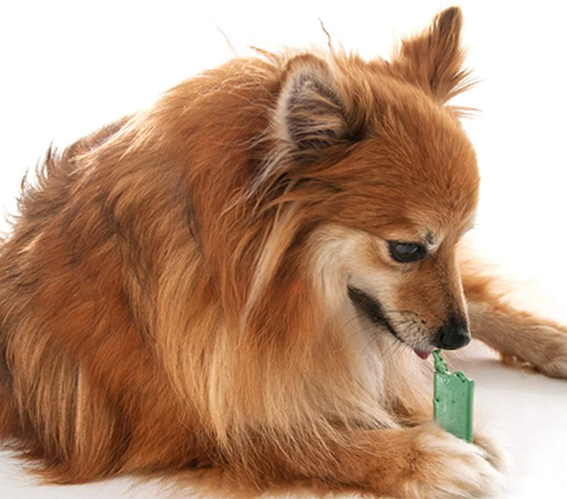 OraVet Dental Hygiene Chew for X-Small Dogs, Dental Treats for Dogs, 28 Counts/Days - Image 7