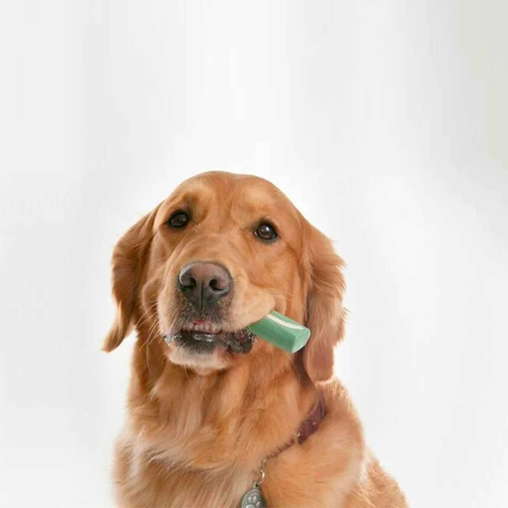 Oravet Dental Hygiene Chews for Medium Dogs  28 Count/Days Supply - Image 8