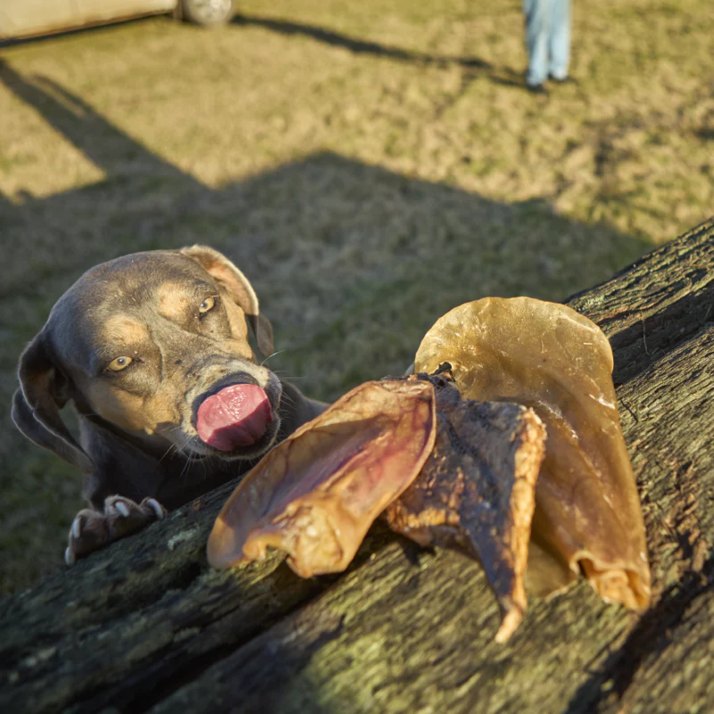 Kazoo Prime Cuts Pigs Ear - Single - Image 3