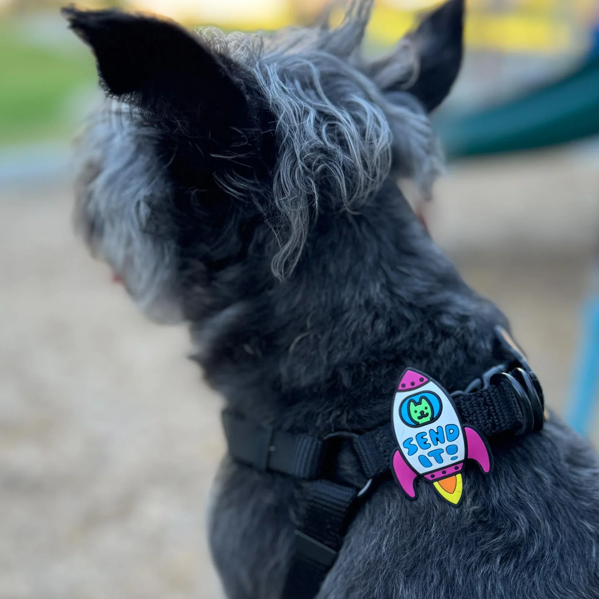 Rocket Jiby Dog Charm - Image 2