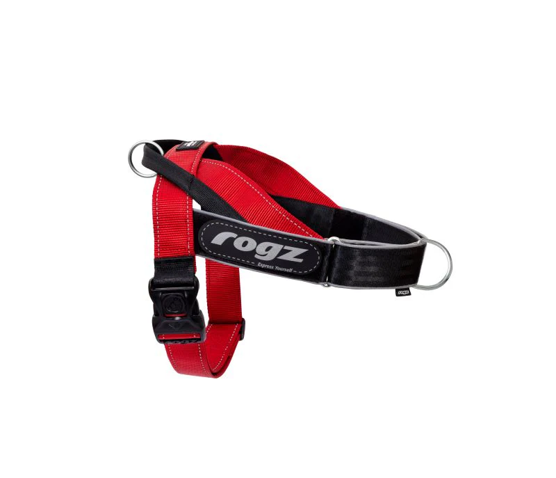 Rogz LetzGo Personalised Dog Harness - Large - Image 3