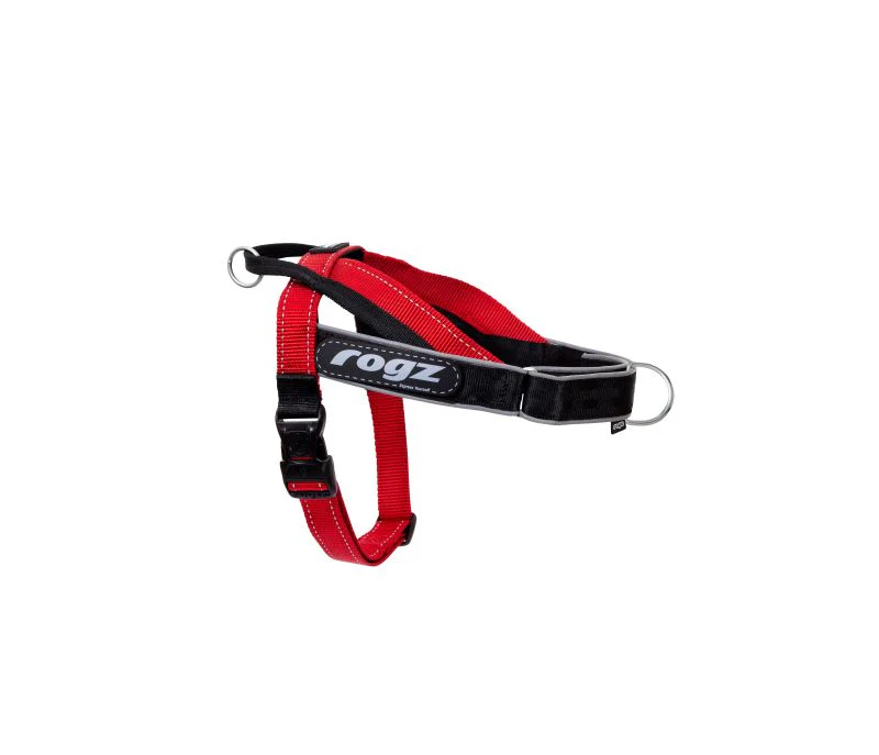 Rogz LetzGo Personalised Dog Harness - Medium/Large - Image 4