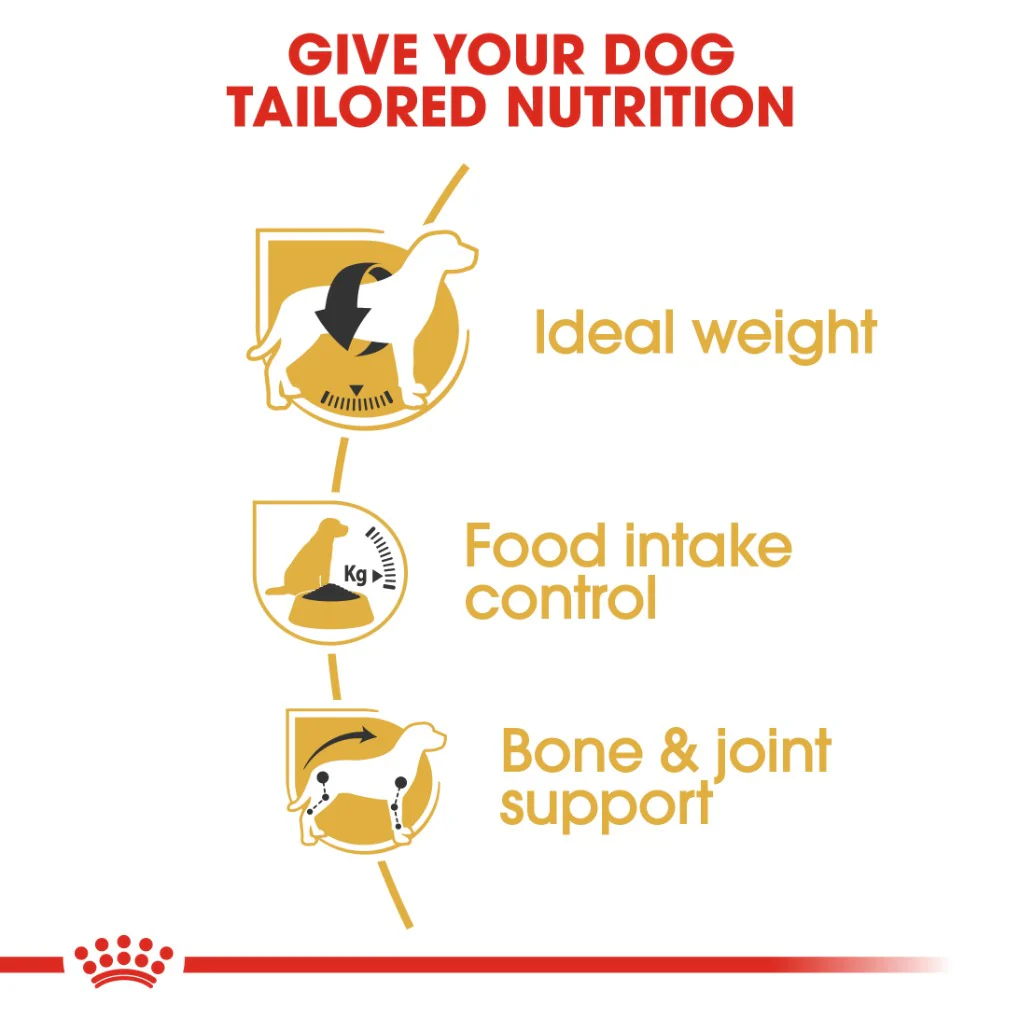 Royal Canin Beagle Adult - Image 2