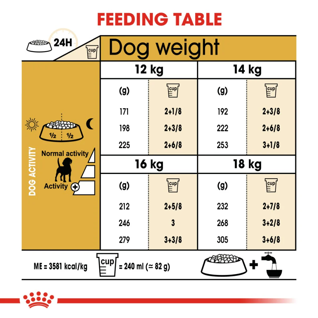 Royal Canin Beagle Adult - Image 4