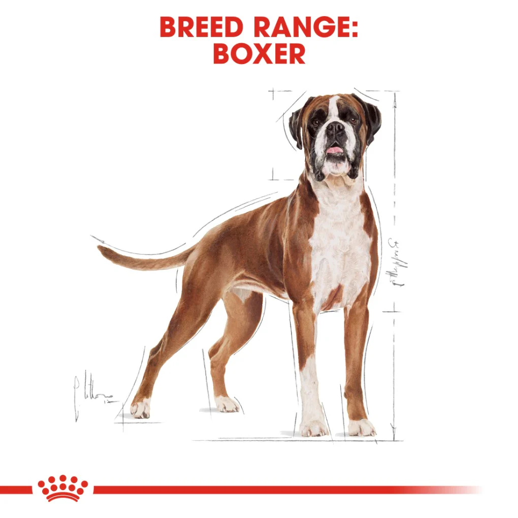 Royal Canin Boxer Adult 12kg - Image 6