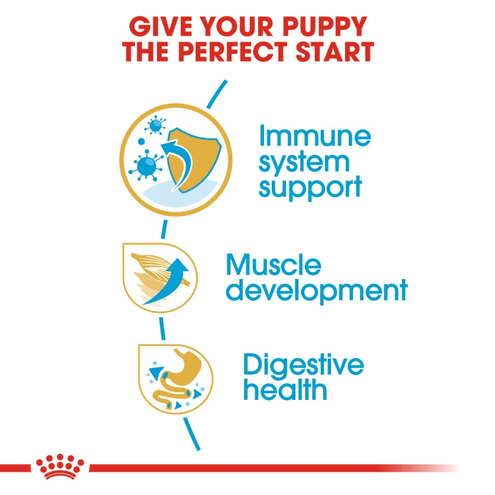Royal Canin Boxer Puppy 12kg - Image 2