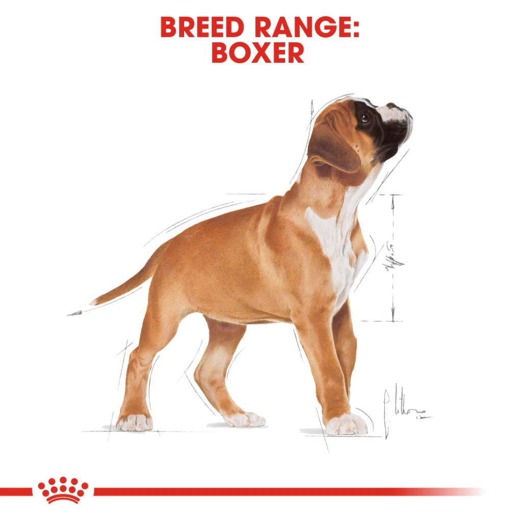Royal Canin Boxer Puppy 12kg - Image 7