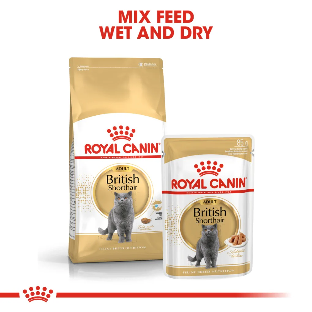 Royal Canin British Shorthair - Image 4