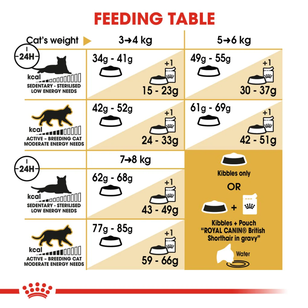 Royal Canin British Shorthair - Image 5
