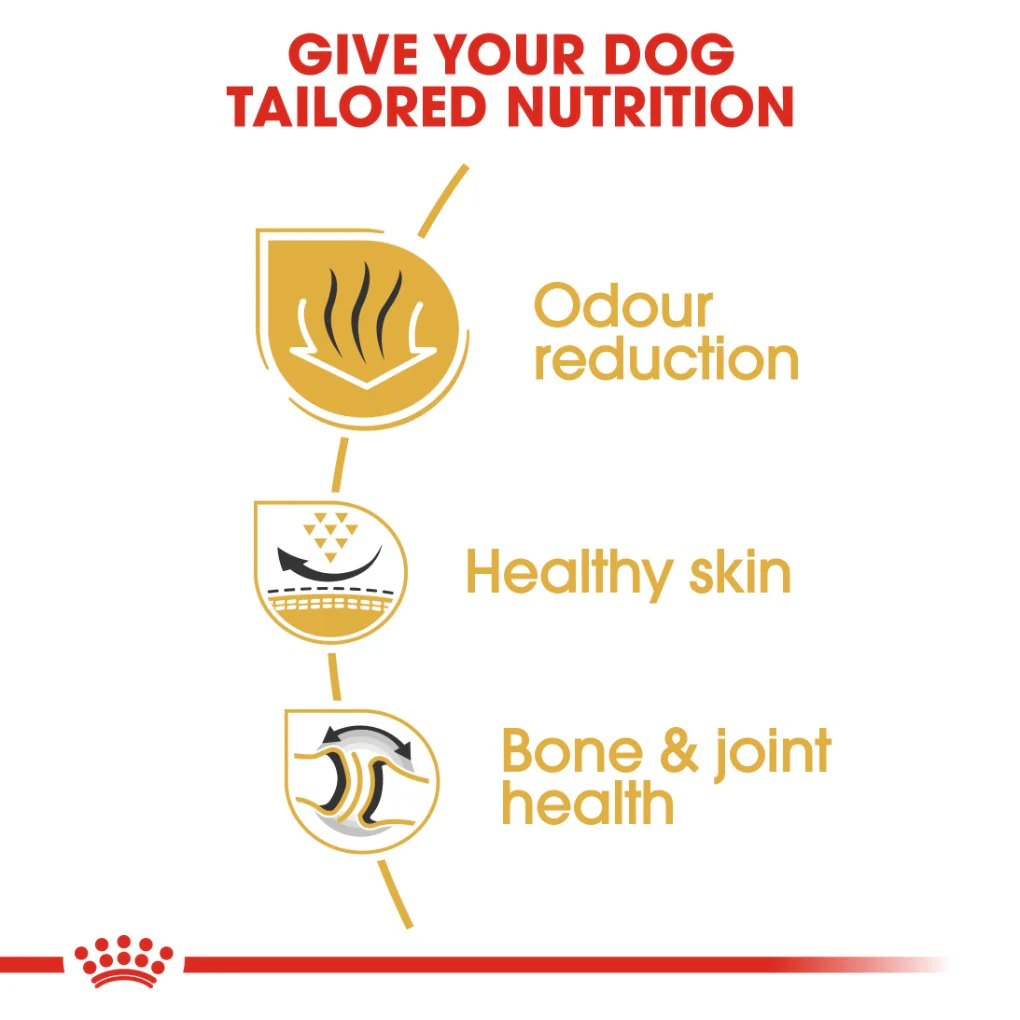 Royal Canin Bulldog Adult 12kg - Image 2