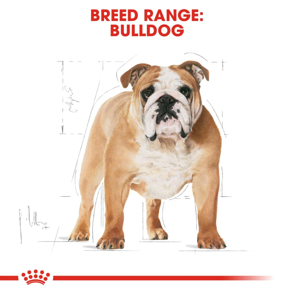 Royal Canin Bulldog Adult 12kg - Image 6