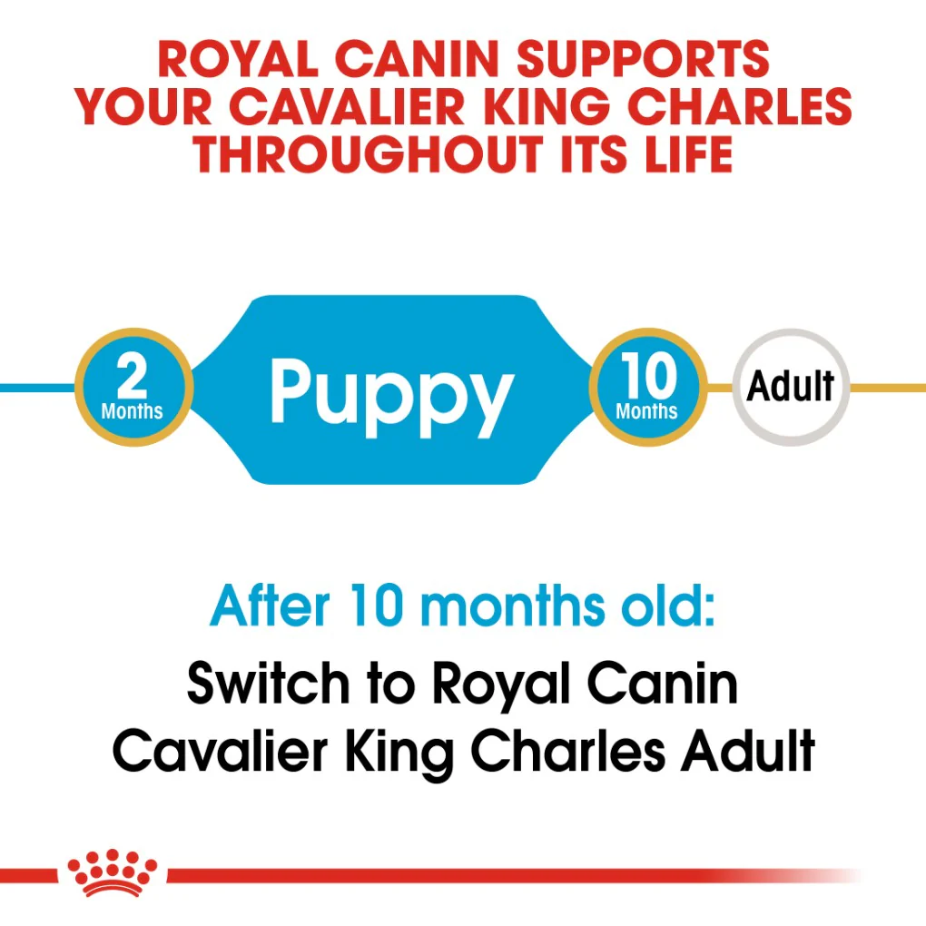 Royal Canin Cavalier King Charles Puppy 1.5kg - Image 6