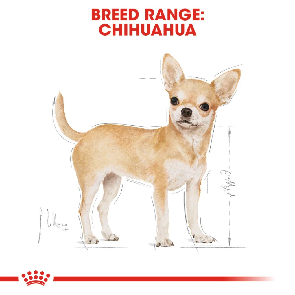 Royal Canin Chihuahua Pouches - Image 6