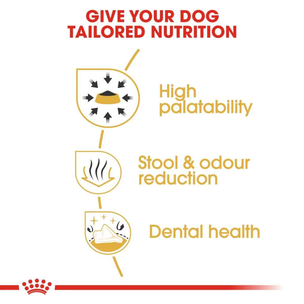 Royal Canin Chihuahua Adult 1.5kg - Image 2