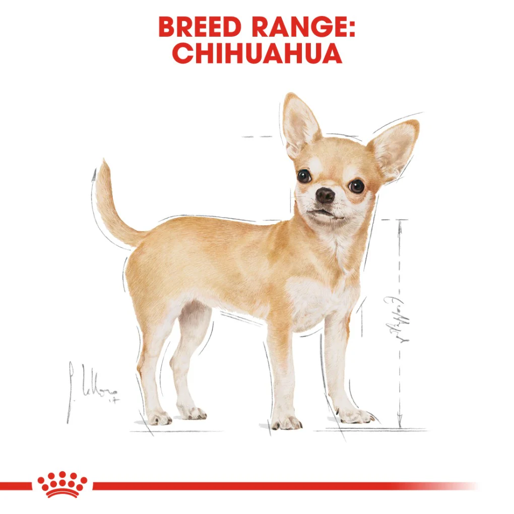 Royal Canin Chihuahua Adult 1.5kg - Image 6
