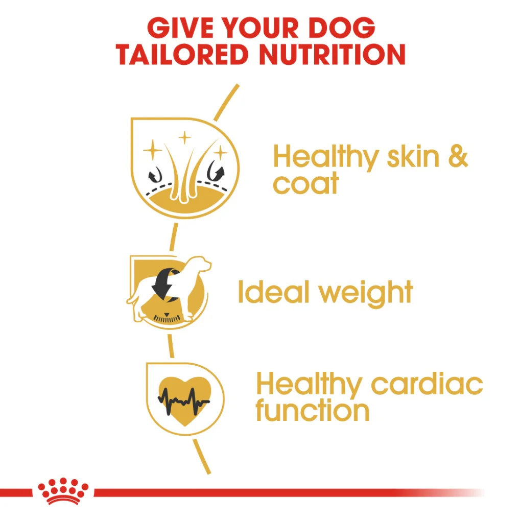Royal Canin Cocker Spaniel Adult - Image 2
