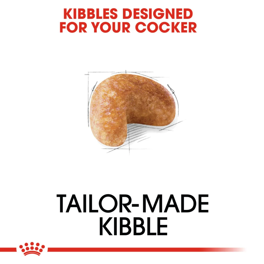 Royal Canin Cocker Spaniel Adult - Image 3