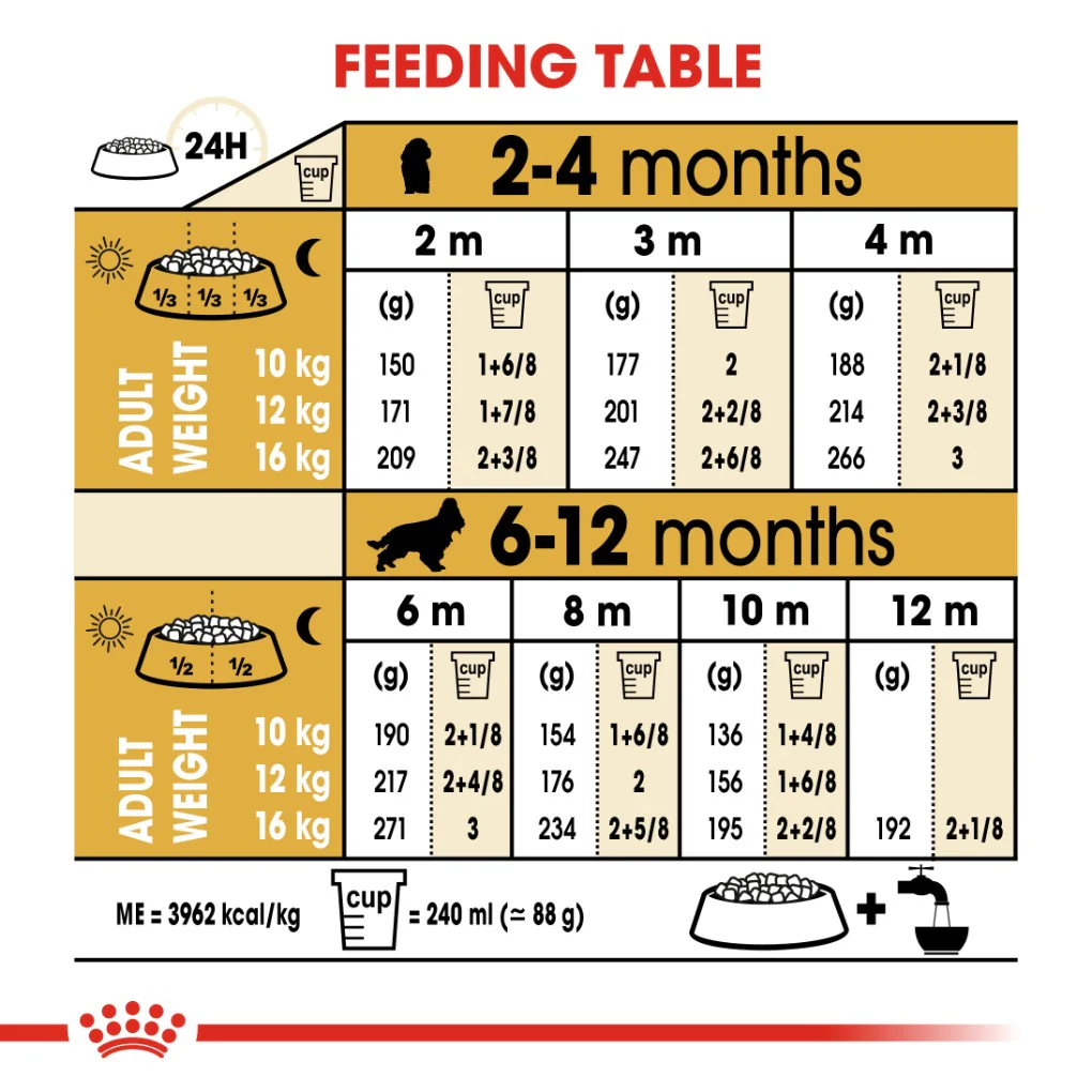 Royal Canin Cocker Spaniel Puppy 3kg - Image 4