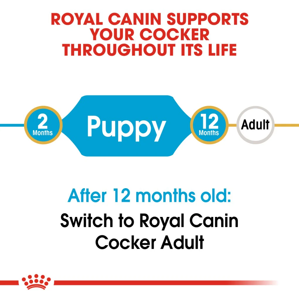 Royal Canin Cocker Spaniel Puppy 3kg - Image 6