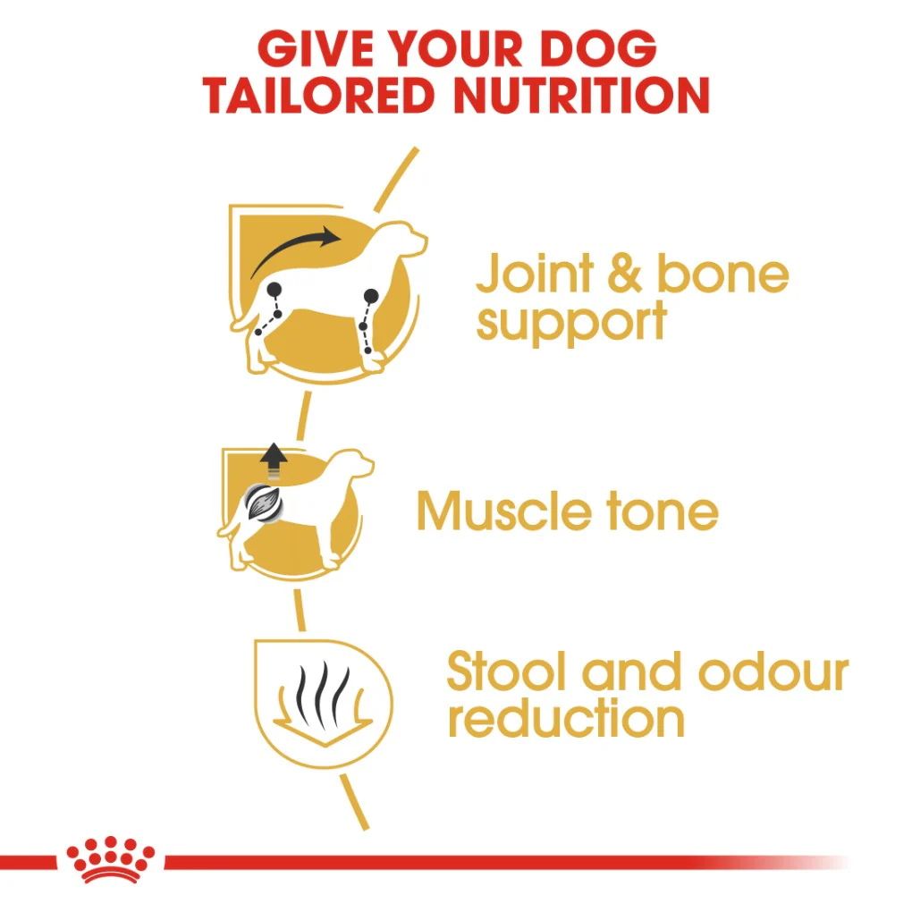 Royal Canin Dachshund Adult - Image 2
