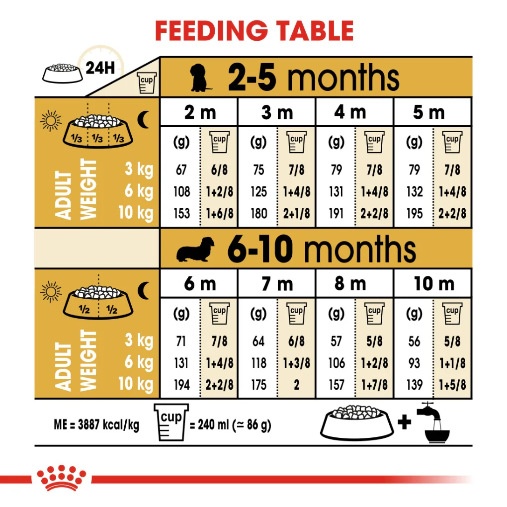 Royal Canin Dachshund Puppy 1.5kg - Image 4