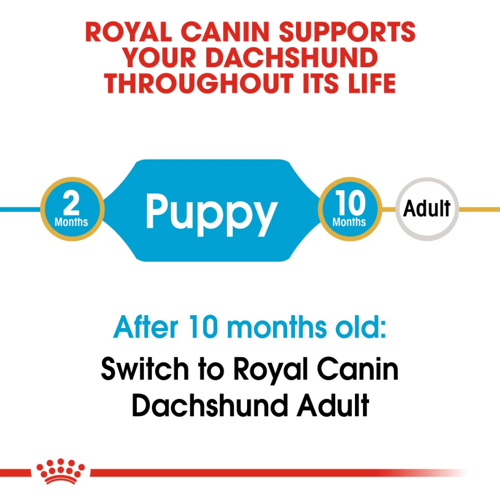 Royal Canin Dachshund Puppy 1.5kg - Image 6