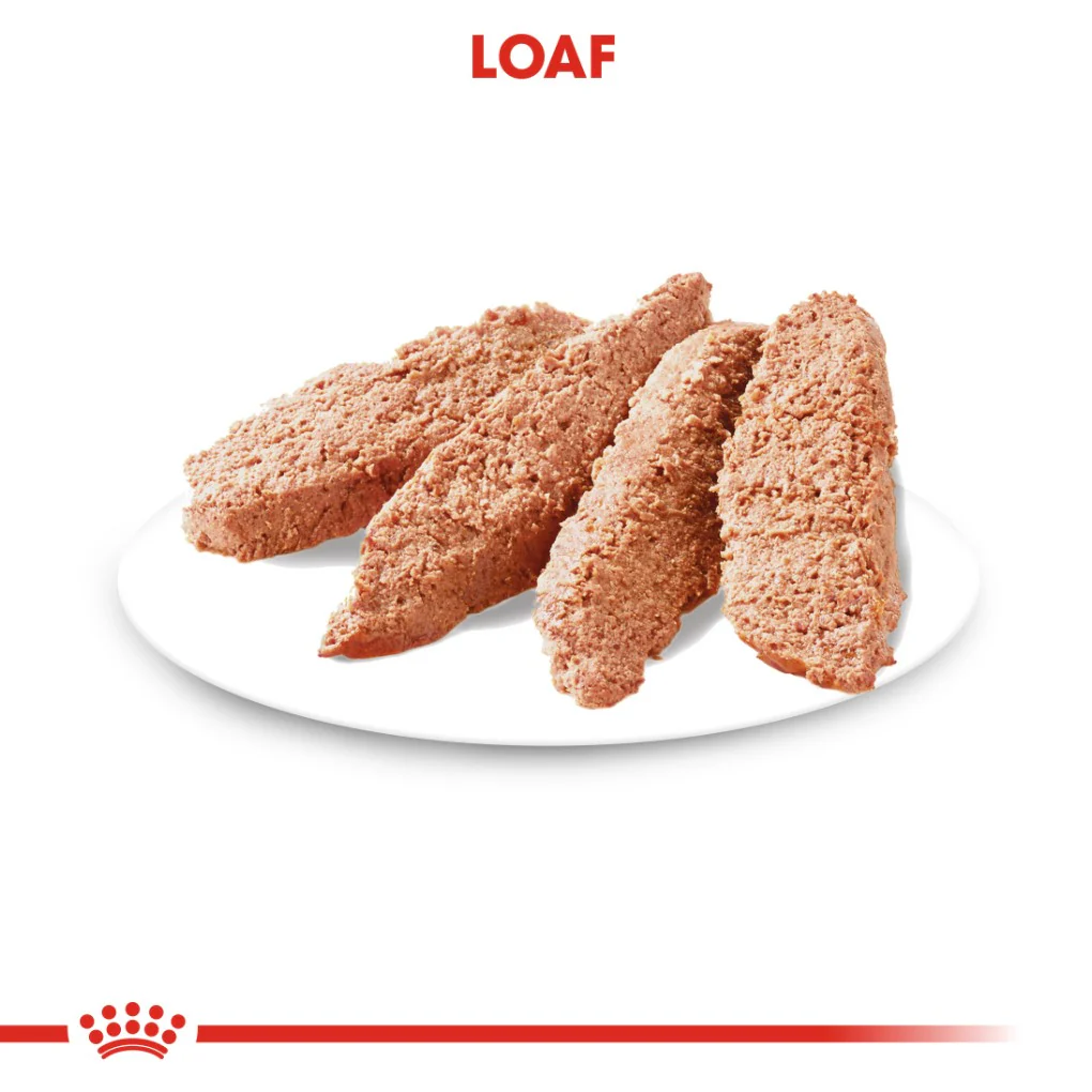 Royal Canin Dermacomfort Loaf Pouches - Image 3