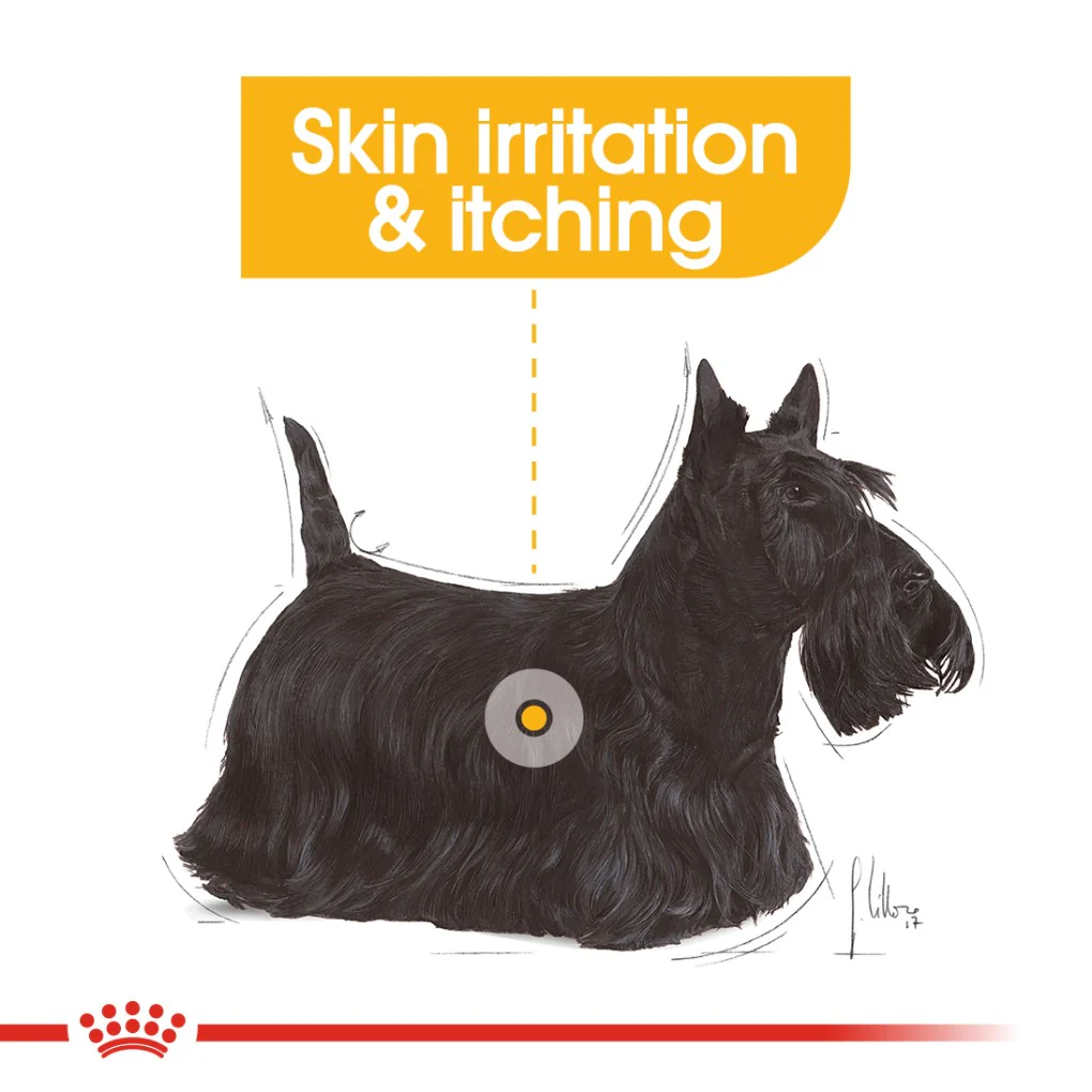 Royal Canin Dermacomfort Loaf Pouches - Image 7