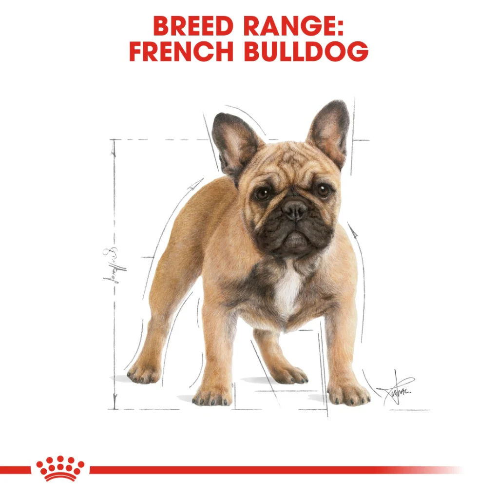 Royal Canin French Bulldog Adult - Image 6