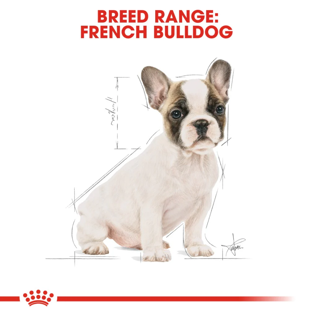 Royal Canin French Bulldog Puppy 3kg - Image 7