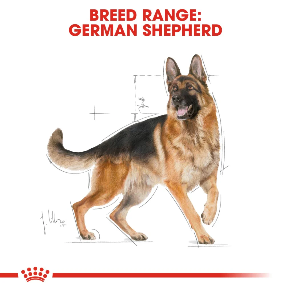 Royal Canin German Shepherd Adult Dog Food 11kg - Image 6