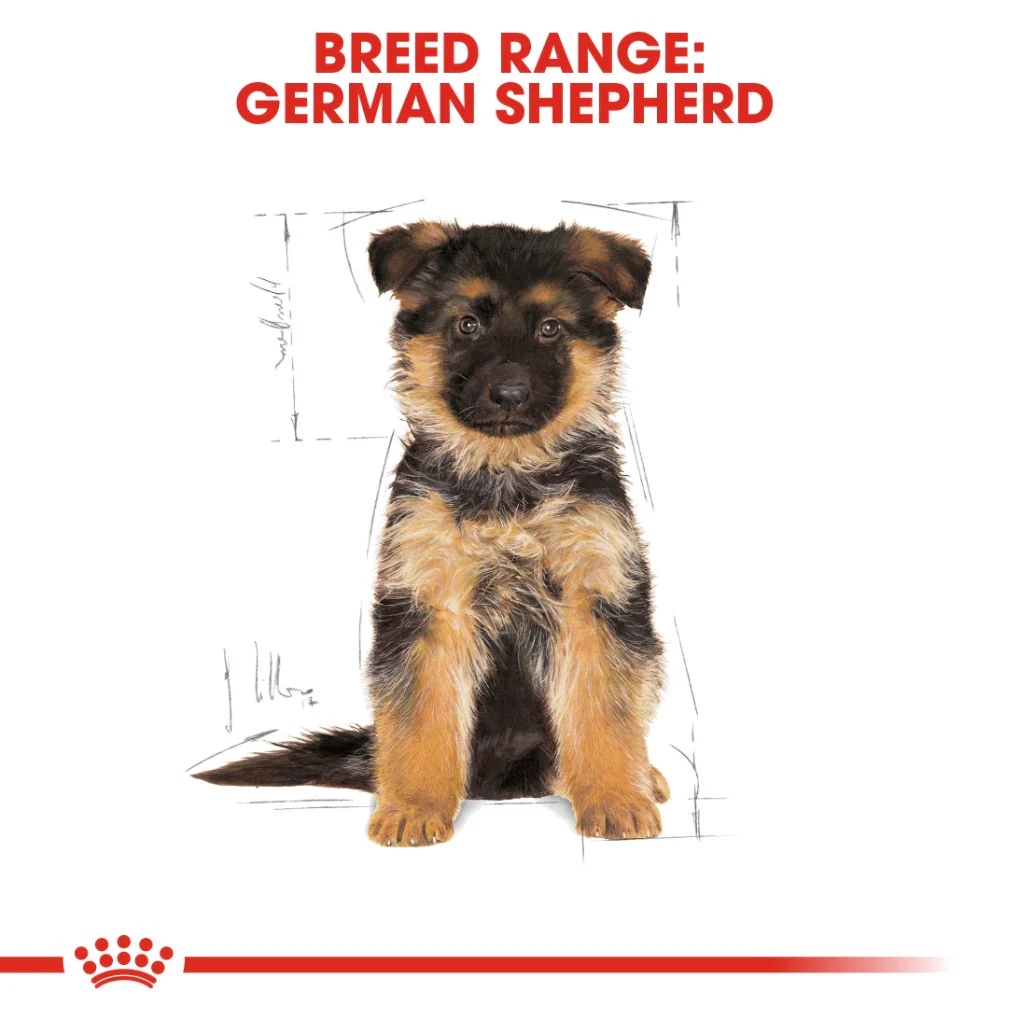 Royal Canin German Shepherd Puppy 12kg - Image 7