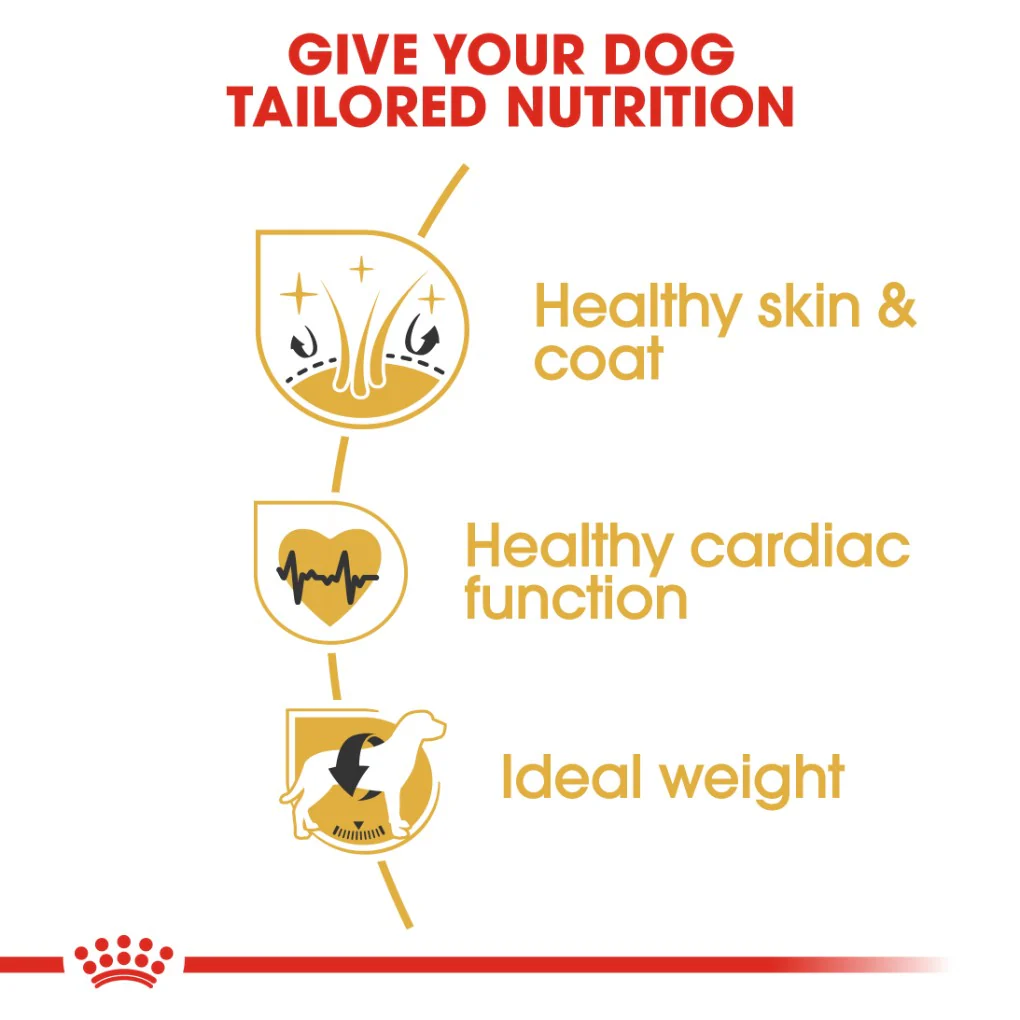 Royal Canin Golden Retriever Adult 12kg - Image 2