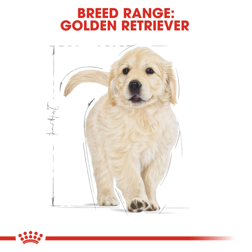 Royal Canin Golden Retriever Puppy 12kg - Image 7