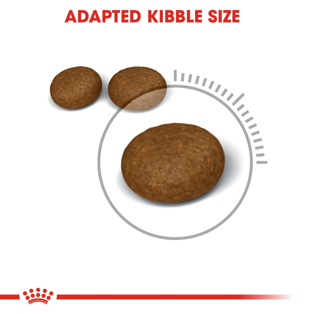 Royal Canin Hair & Skin Care 2kg - Image 3