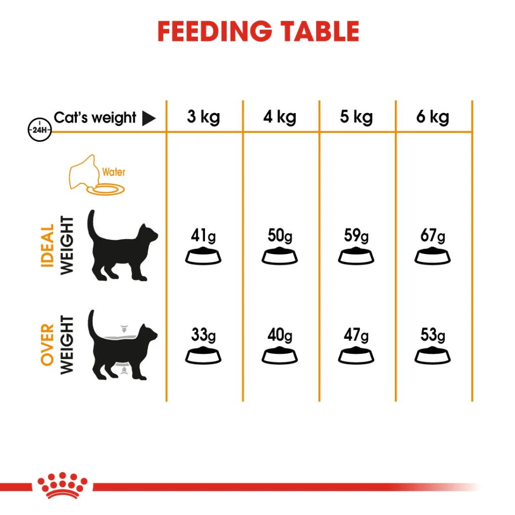 Royal Canin Hair & Skin Care 2kg - Image 5