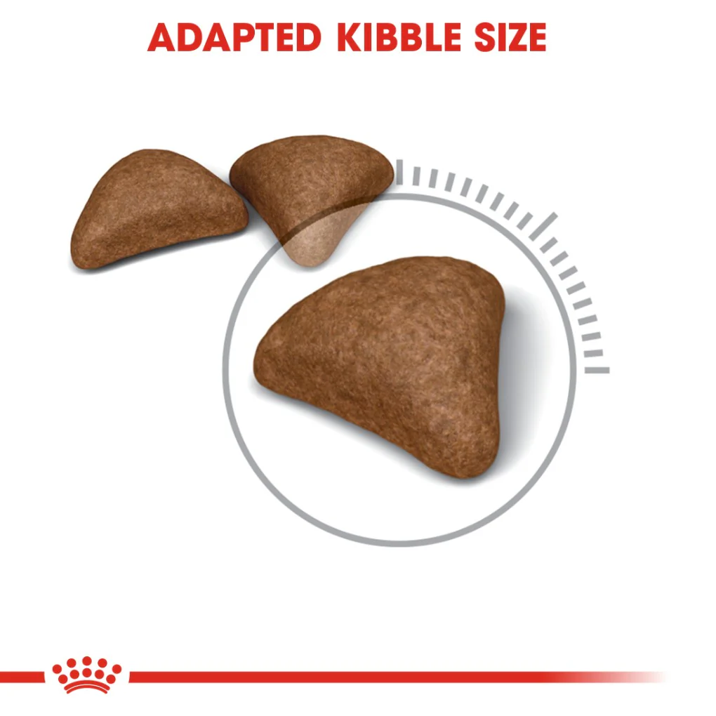 Royal Canin Hairball Care - Image 3