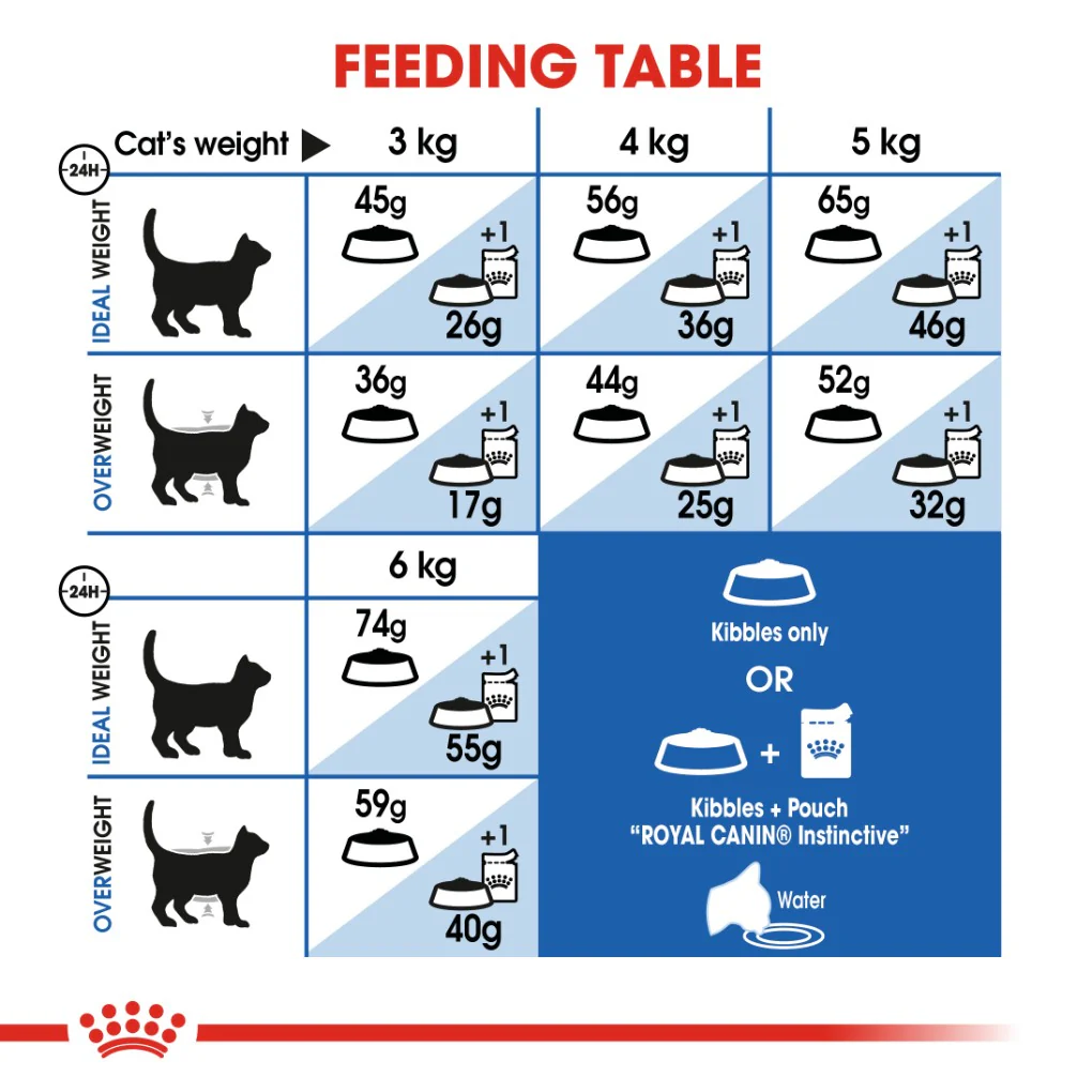 Royal Canin Indoor Adult Cat - Image 5
