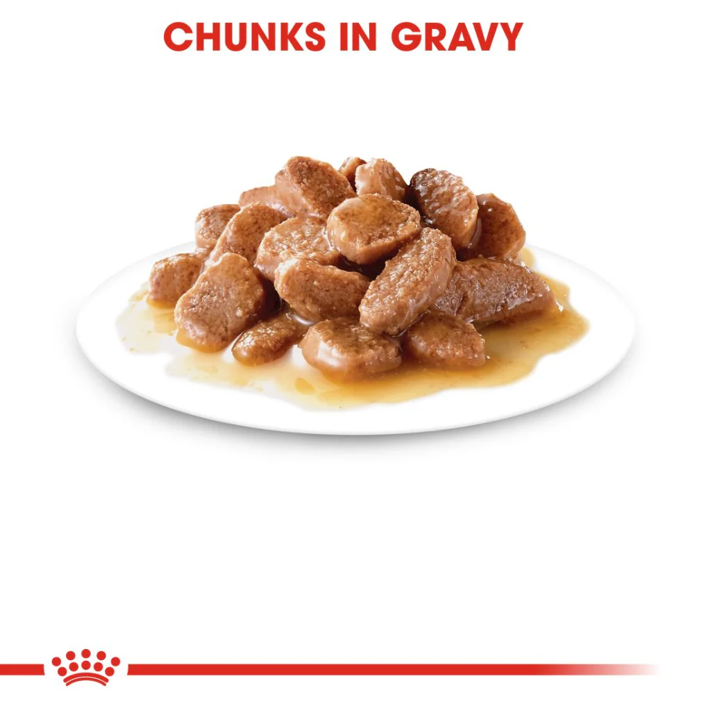 Royal Canin Indoor Gravy Pouches - Image 4