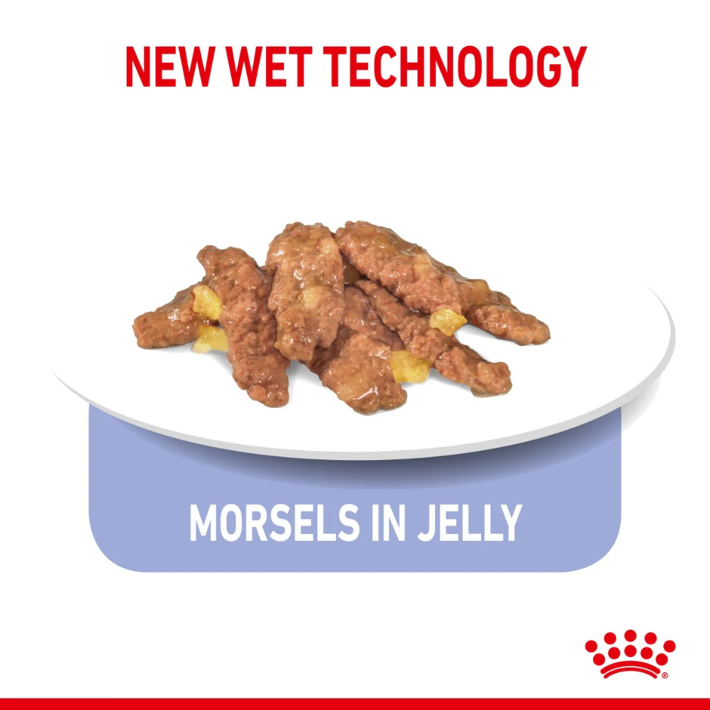Royal Canin Indoor Jelly Pouches - Image 4