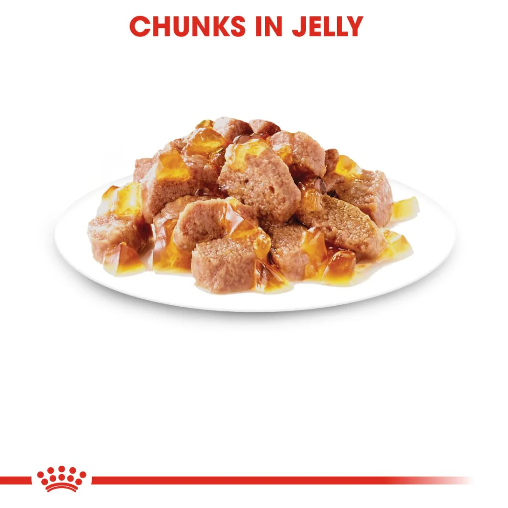 Royal Canin Instinctive Jelly Pouches - Image 3
