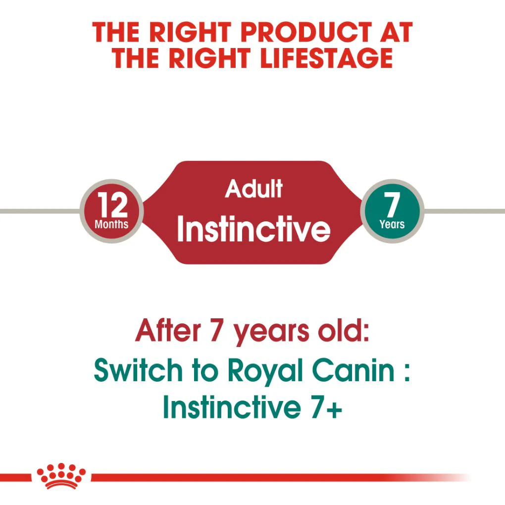 Royal Canin Instinctive Jelly Pouches - Image 7