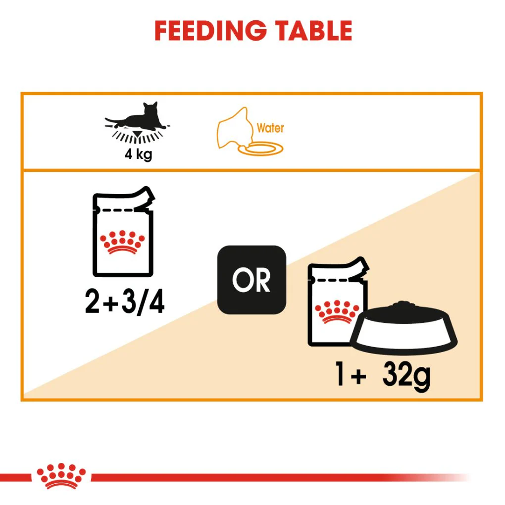Royal Canin Hair & Skin Care Jelly Pouches - Image 4