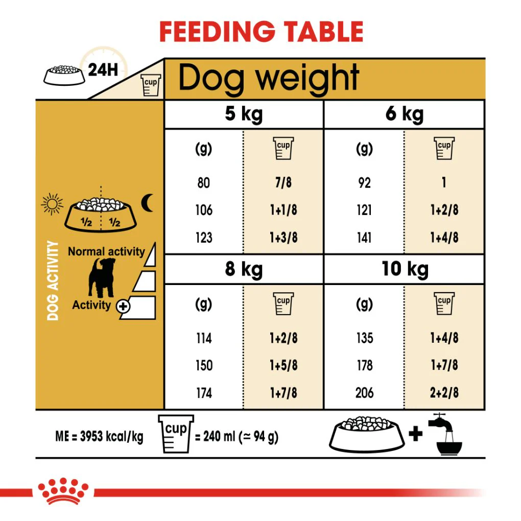 Royal Canin Jack Russell Terrier Adult - Image 4