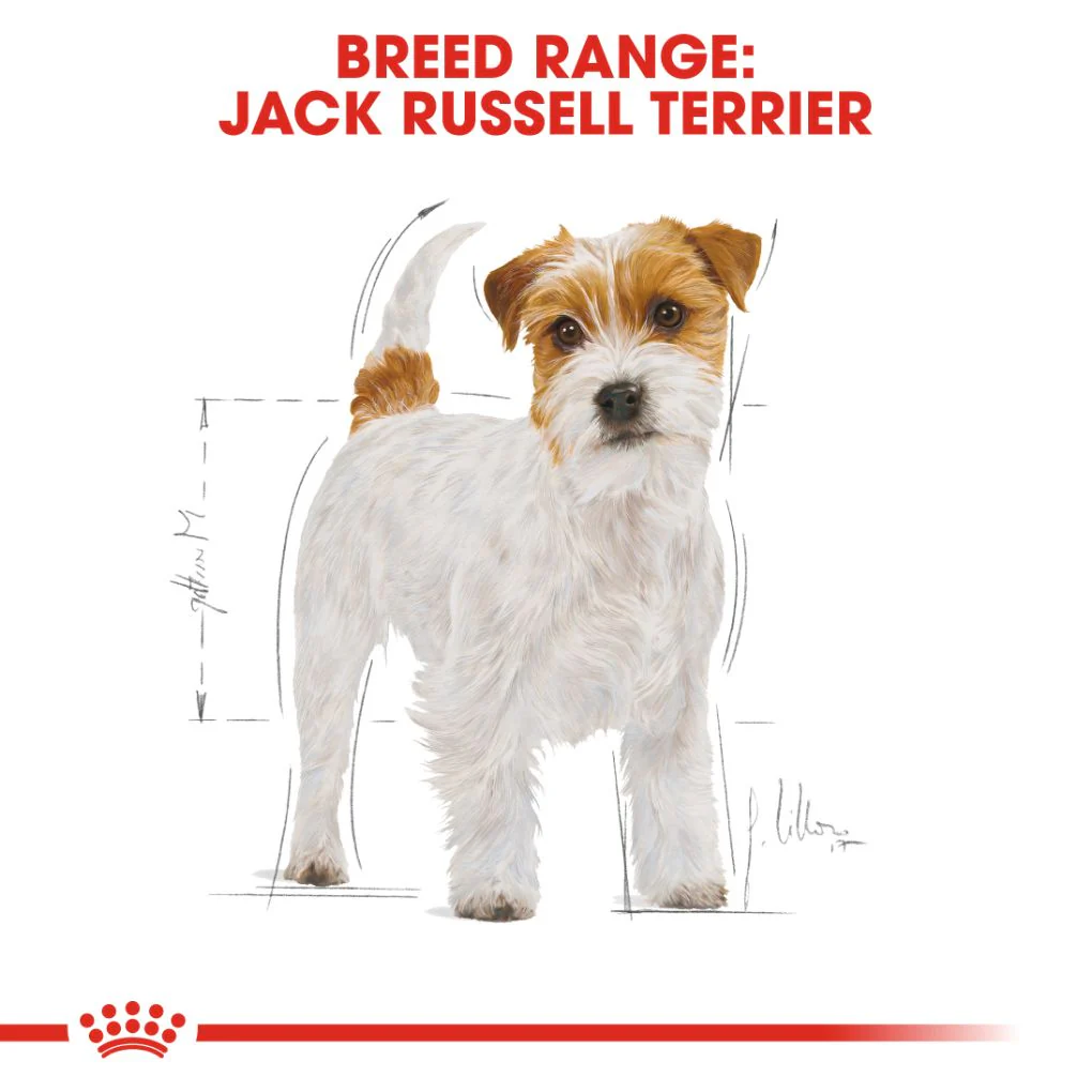 Royal Canin Jack Russell Terrier Adult - Image 6