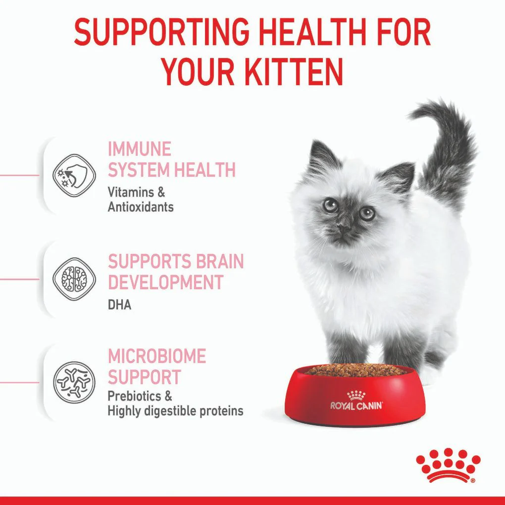 Royal Canin Kitten - Image 2