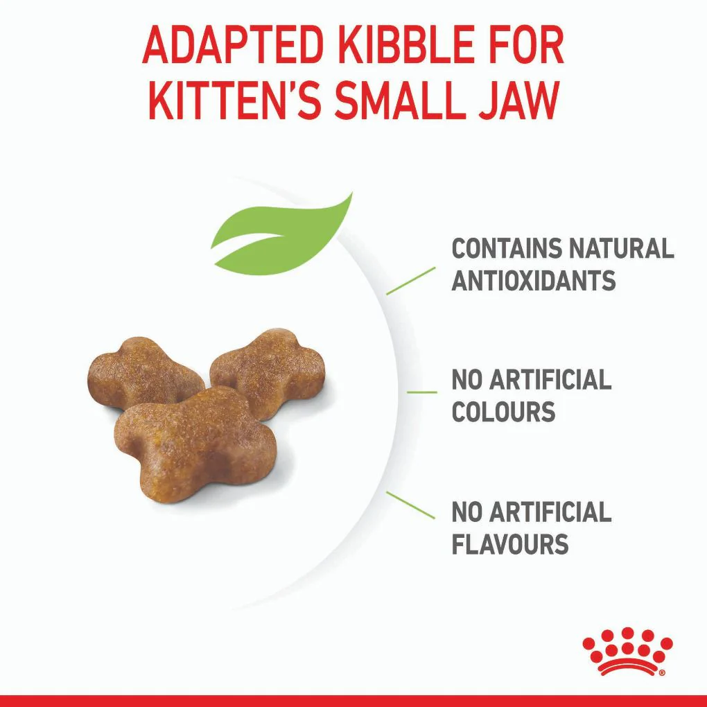 Royal Canin Kitten - Image 3