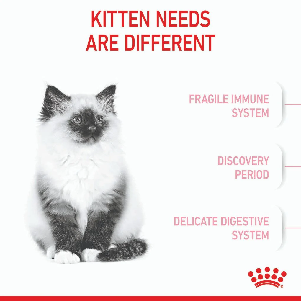 Royal Canin Kitten - Image 4
