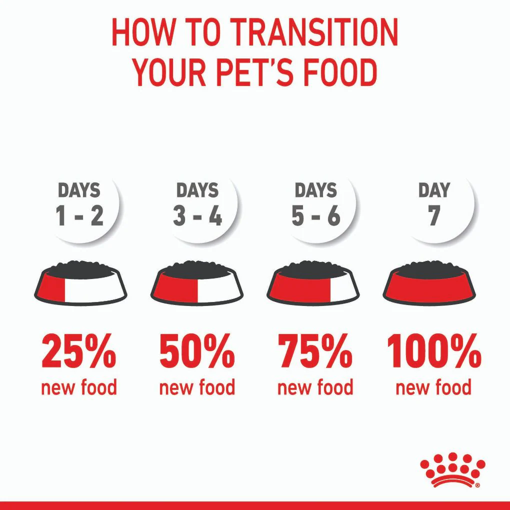 Royal Canin Kitten Gravy Pouches - Image 9